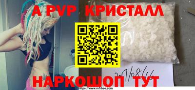 стафф Камышлов