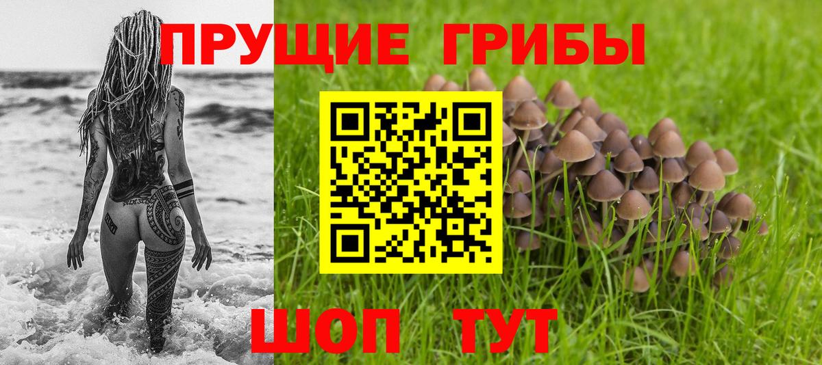 Людиново  Псилоцибиновые грибы мицелий  Вход с VPN 